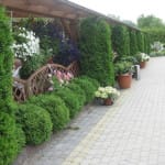 V Przegląd Artystyczny Emeryckich Zespołów w Piszu - 30.06.2015r.