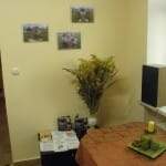 Otwarcie SCIS - 15.10.2015r