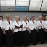 Spotkania muzyczne seniorów - 16.11.2015 r.