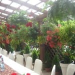 VI Artystyczny Przegląd Zespołów Emeryckich w Piszu - 15.06.2016r