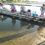 Ej Sobótka, Sobótka - 23.06.2016r