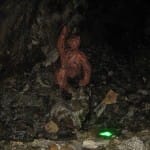 Wycieczka w Góry Sowie, 5-8.IX.2016r