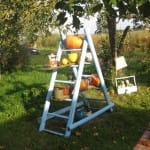 Dzień Anioła - 2.X.2016r