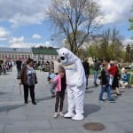 Suwalska Majówka Społeczna - 13.05.2017r